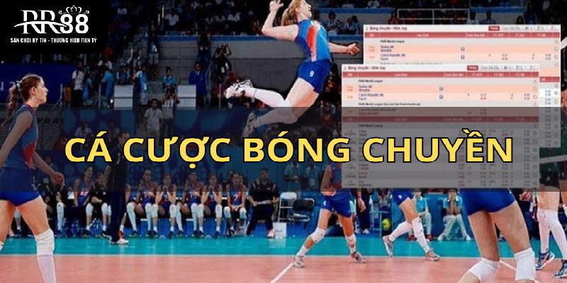 Cá cược bóng chuyền - loại hình giải trí hấp dẫn