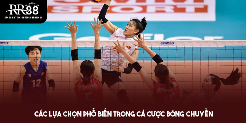 Các lựa chọn cược bóng chuyền hiện có