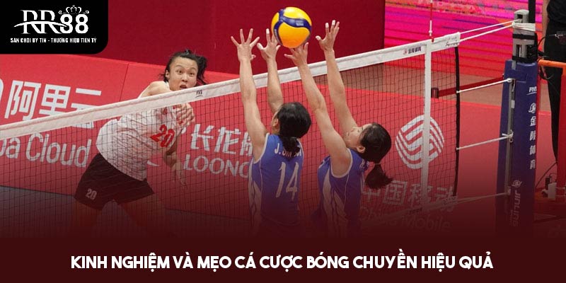 Bí quyết cá cược bóng chuyền thắng lớn